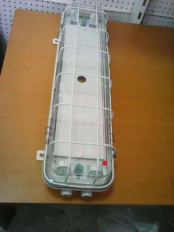 Подвесной светильник судовой FPC 22-2GE люминесцентный