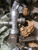 Клапан штуцерный промывочный ножной 528-03.001 #1