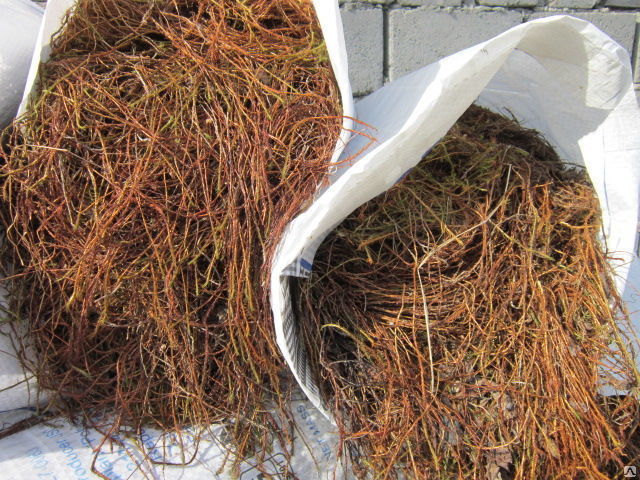 Межвенцовый утеплитель - мох строительный для сруба, мeшoк 35 л (до 10 меш)