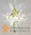 Светильник для сауны Cariitti Kihla (1545831, золото, хрусталь) Cariitti #2