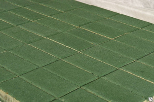 Тротуарная плитка Прямоугольник 400х300х70 цвет зелёный 