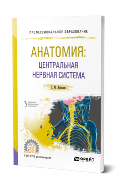 Анатомия: центральная нервная система. Учебное пособие для спо